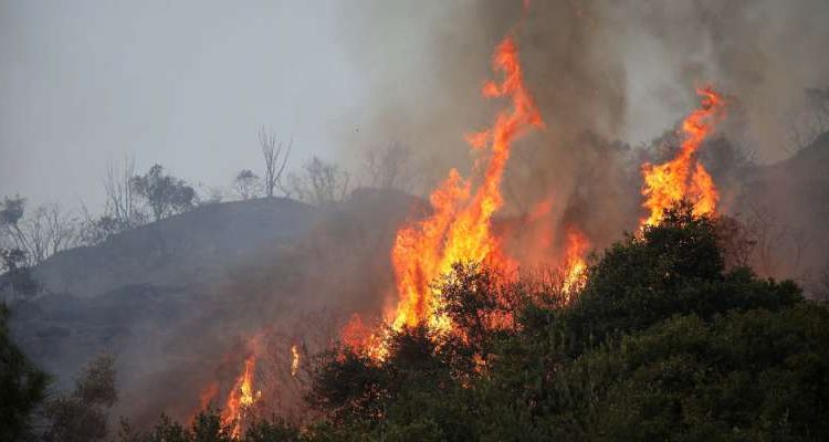 Υψηλός κίνδυνος πυρκαγιάς την Παρασκευή 26/6 στην Εύβοια [Χάρτης]