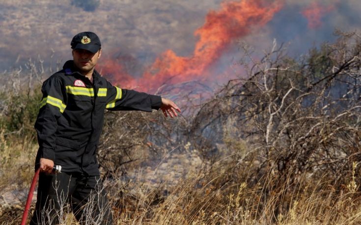 Σε εξέλιξη οι πυρκαγιές σε Μέγαρα και Μαρκόπουλο