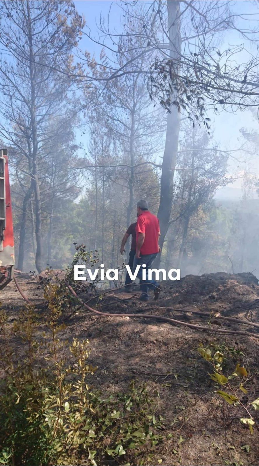 Αποκλειστικές ΦΩΤΟ και ΒΙΝΤΕΟ από την φωτιά στην Φαράκλα Ευβοίας