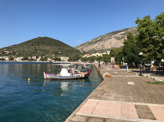 Αντίκυρα Βοιωτίας-Και άλλοι πρωταθλητές με επικεφαλής τις Ζυγόρη, Κυριακοπούλου στον 4ο Ξενοδάμειο της Αντίκυρας!