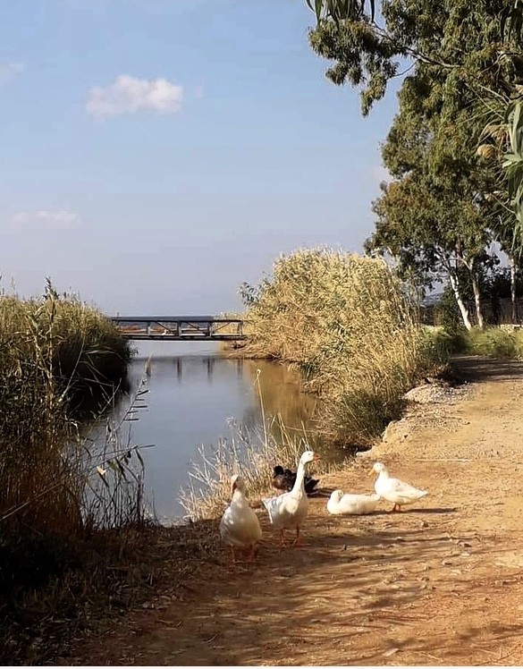 Δείτε που έκαναν την βόλτα τους!