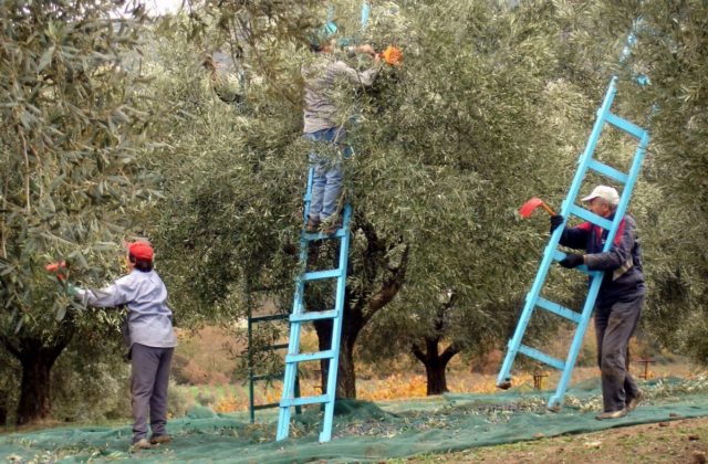 Πώς η Ελλάδα δεν εκμεταλλεύεται τον «ελληνικό χρυσό»