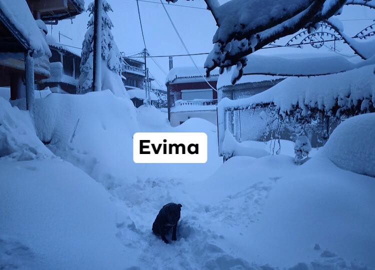 “Θάφτηκε” στο χιόνι η Σέττα (photos)