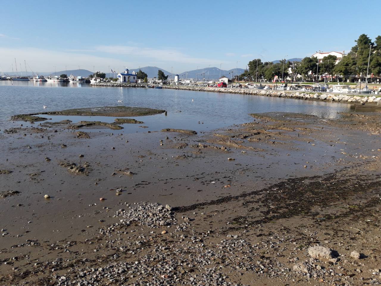 Βασίλης Καθαροσπόρης: Μία εικόνα ίσον χίλιες λέξεις