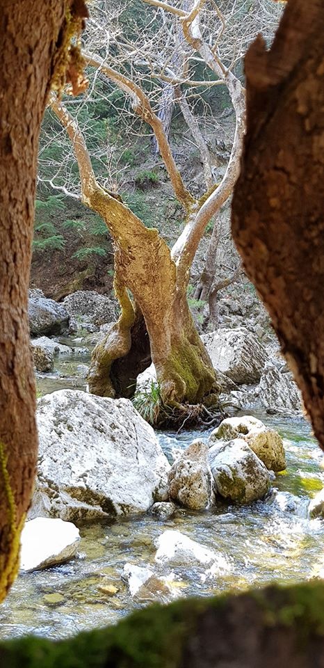 Οδοιπορικό στους καταρράκτες του Δρυμώνα photos eVima Ειδήσεις Εύβοια