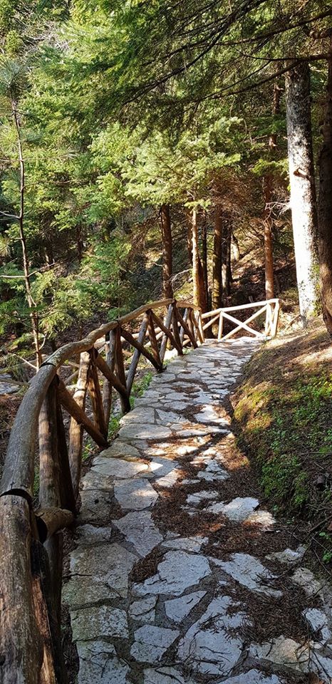 Οδοιπορικό στους καταρράκτες του Δρυμώνα photos eVima Ειδήσεις Εύβοια