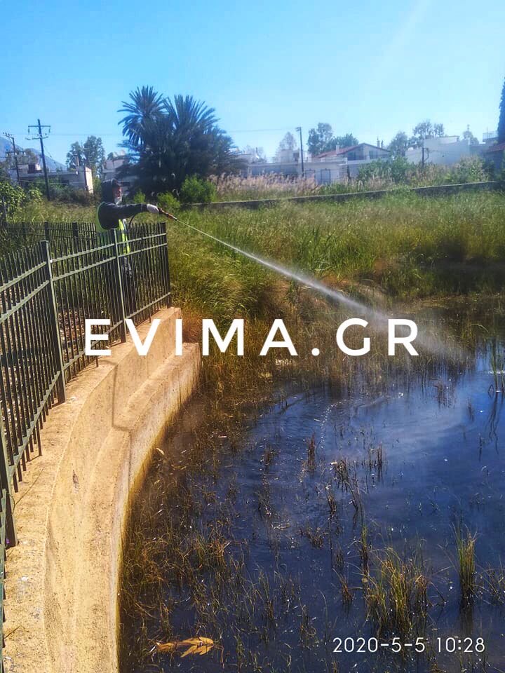 Ψεκασμός για τα κουνούπια πραγματοποιήθηκε σήμερα στην Ερέτρια [photos]