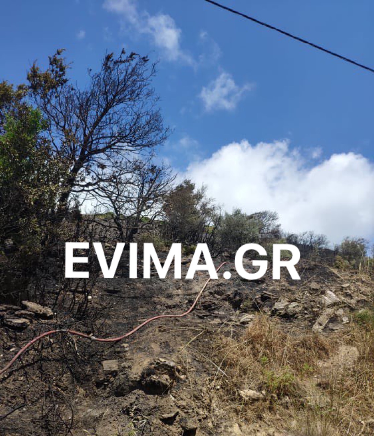 Υπό έλεγχο η φωτιά στο Κατσαρώνι του Δήμου Καρύστου [photo]