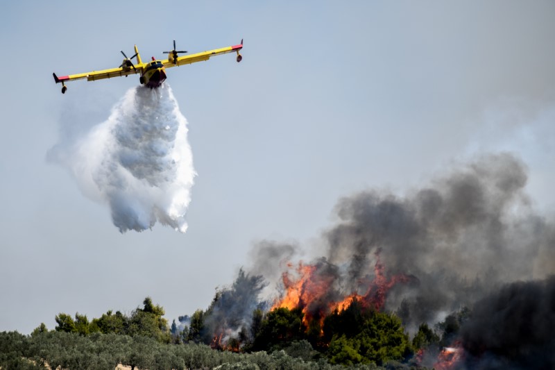 Πολύ υψηλός κίνδυνος πυρκαγιάς το Σάββατο 25 Ιουλίου στην Εύβοια-Σε ετοιμότητα η Πολιτική Προστασία της Π.Ε.