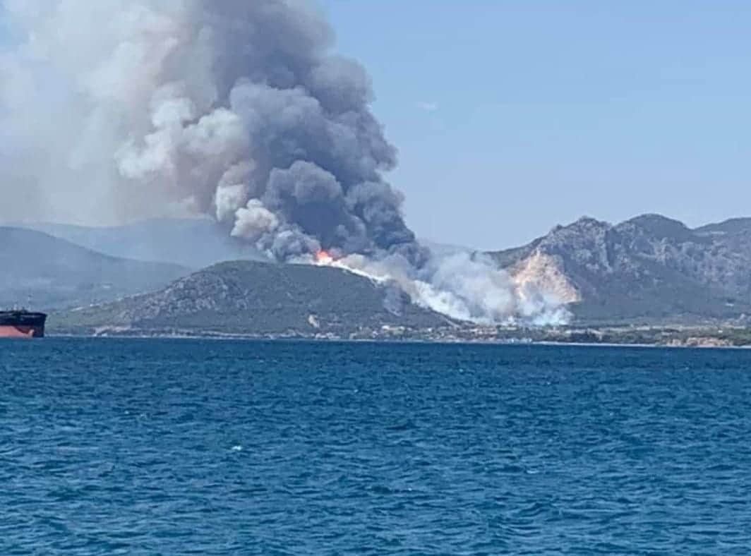 Φωτιά σε δασική έκταση στην περιοχή Κεχριές Κορινθίας [εικόνα]