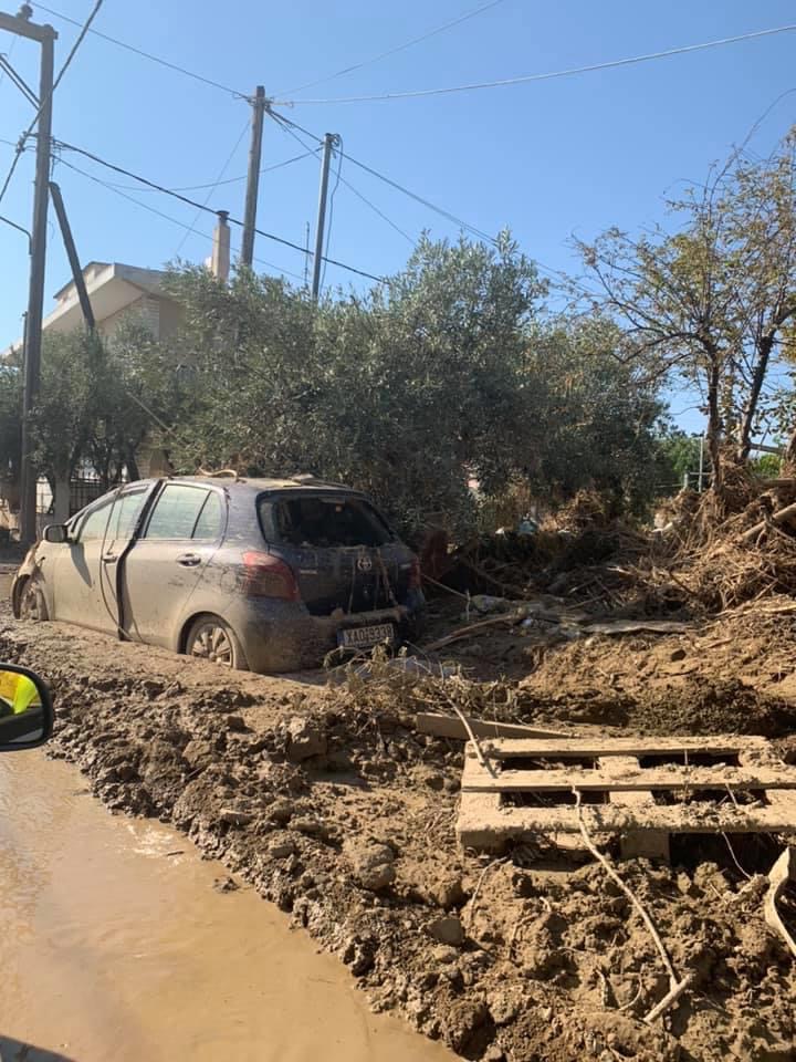 Παππά: Η Π.Ε. Εύβοιας κάνει ότι είναι ανθρωπίνως δυνατό για τους πολίτες που δοκιμάστηκαν από την κακοκαιρία [εικόνες]