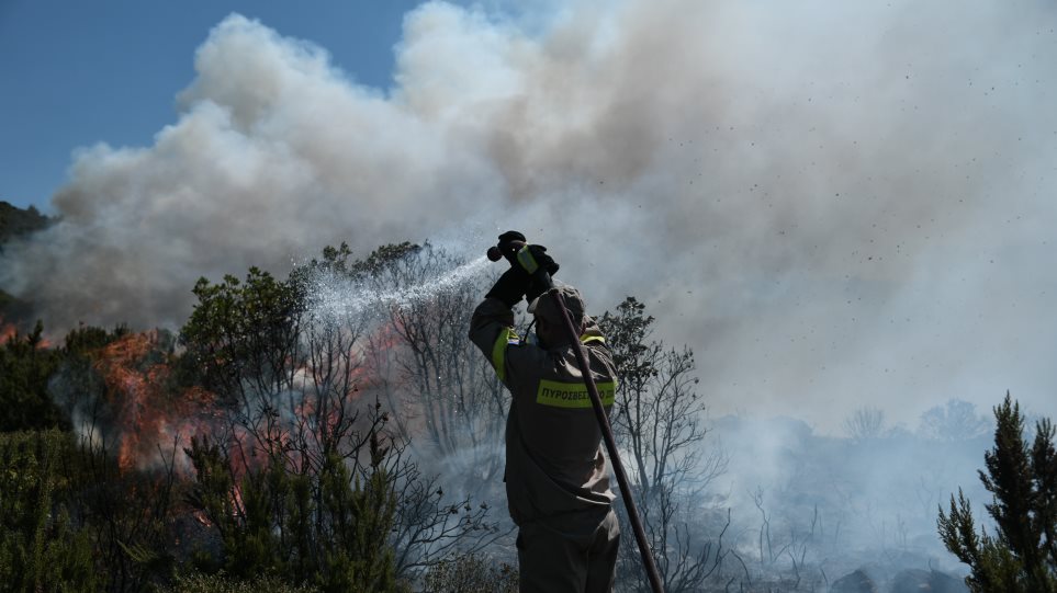 Συναγερμός στην Πυροσβεστική για μεγάλη πυρκαγιά κοντά σε χωριό στο Ηράκλειο Κρήτης