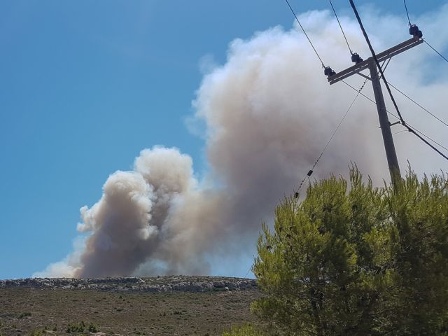 Φωτιά στην Ανάβυσσο: Εκκενώνεται ο οικισμός Καταφύγι