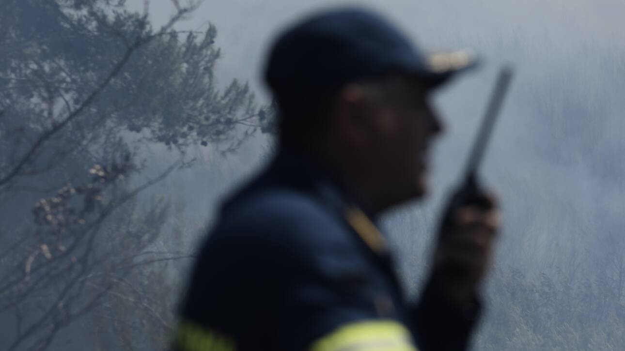 Φωτιά ΤΩΡΑ στο Σιδηρόκαστρο Λακωνίας