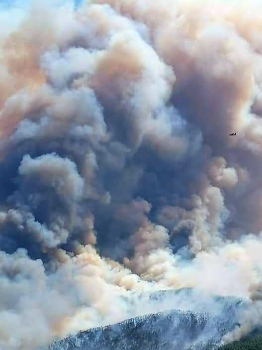 Φωτιά στα Βίλια: Τεράστιο το πύρινο μέτωπο – Μάχη με τις φλόγες δίνει η Πυροσβεστική