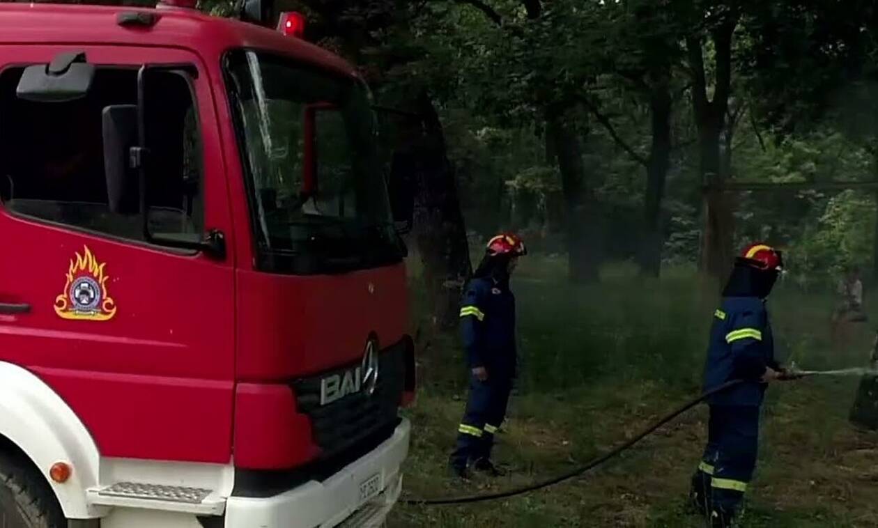 Αυτό είναι το νέο Δ. Σ. της Ένωσης Υπαλλήλων Πυροσβεστικού Σώματος Περιφέρειας Στερεάς  Ελλάδας