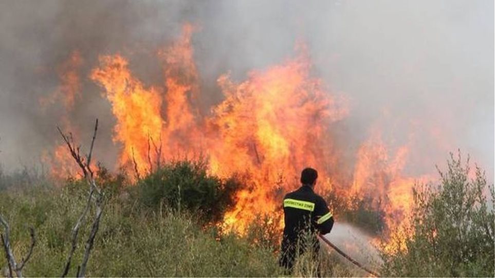 Συναγερμός στην Πυροσβεστική: Φωτιά στον Κάλαμο