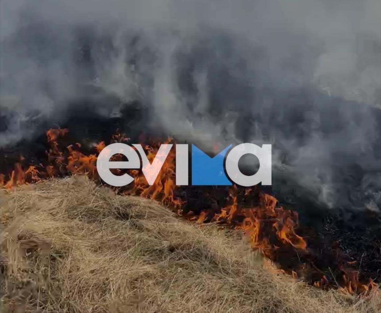 Φωτιά τώρα στην Εύβοια