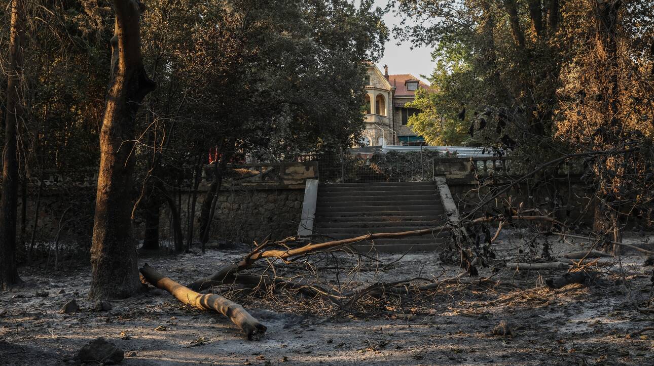 Φωτιά στο αεροδρόμιο στο Τατόι