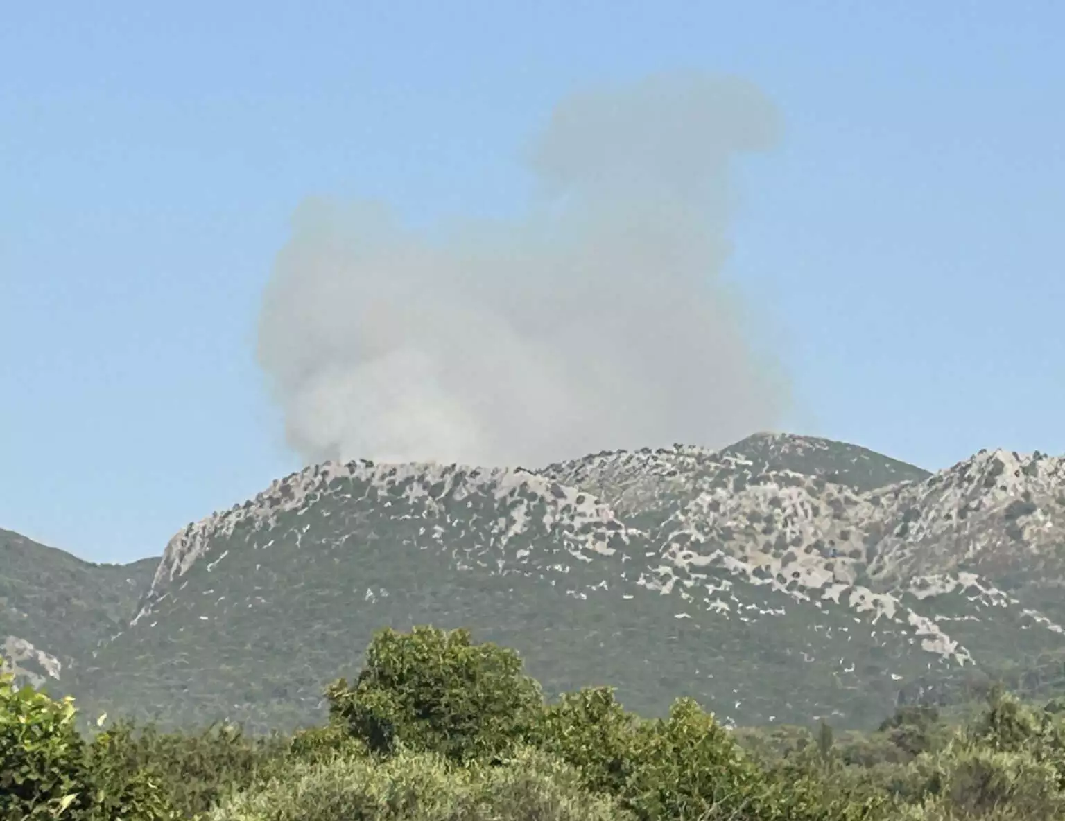 Φωτιά στην Κέρκυρα στην περιοχή Περίθεια – Ισχυρές δυνάμεις στο σημείο