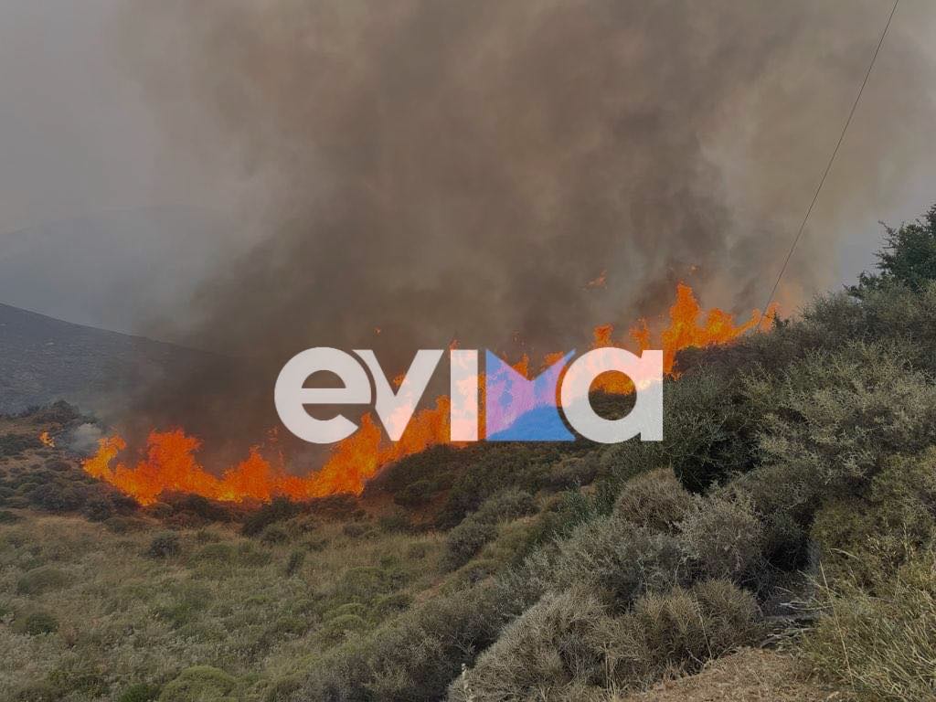 Φωτιές: Πάνω από 500.000 στρέμματα, καμένη γη τον Ιούλιο – Οι περιοχές που κάηκαν στην Εύβοια