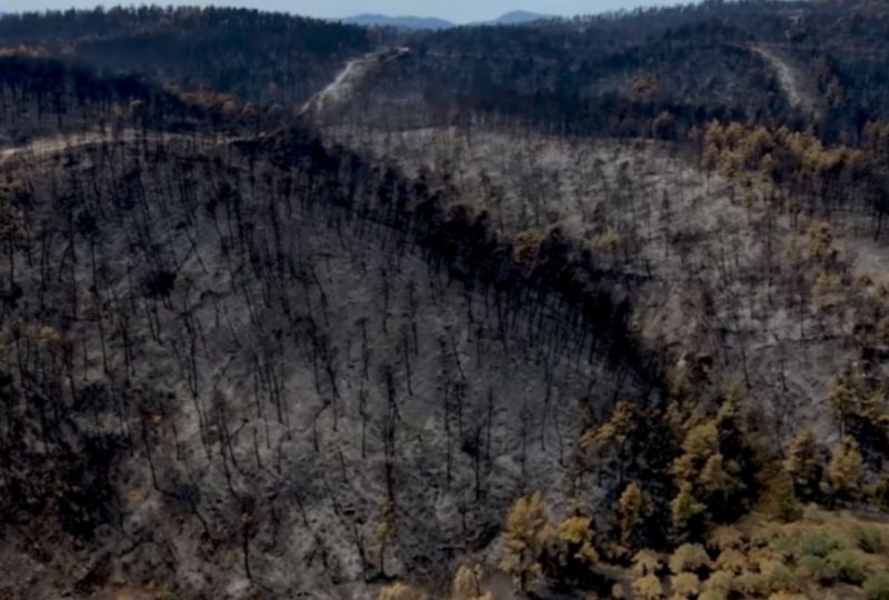 Ανασυγκρότηση στη Βόρεια Εύβοια: Έρχεται ψηφιακή πλατφόρμα παρακολούθησης των έργων