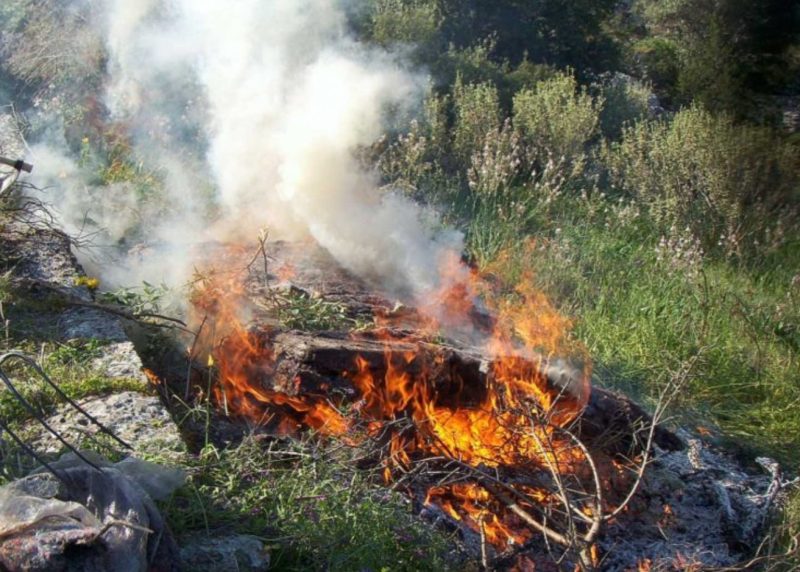 Εύβοια: Κάψιμο κλαδιών…2.250 ευρώ για άνδρα στη Χαλκίδα