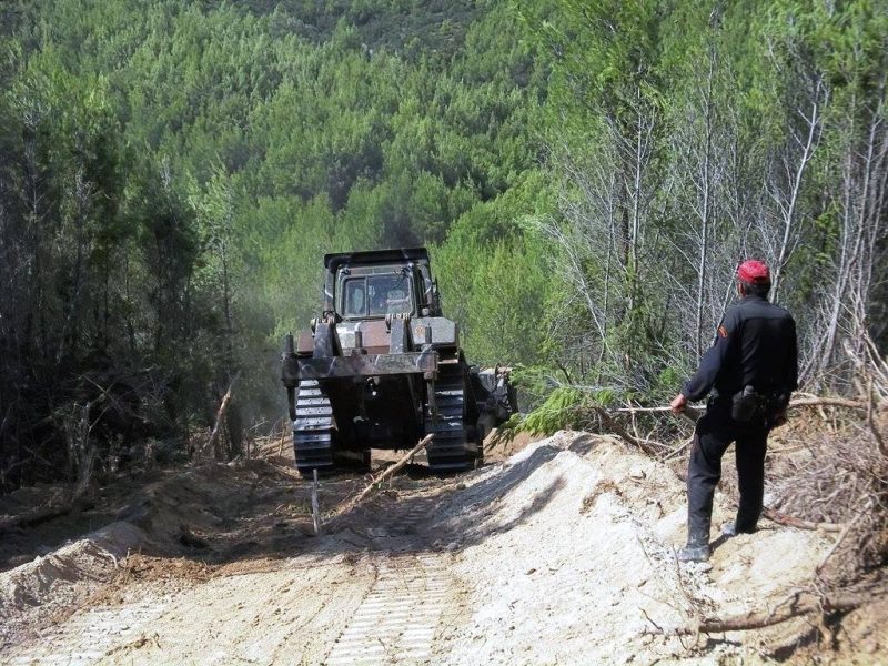 Έργο διάνοιξης αντιπυρικών ζωνών στην Εύβοια: Πού θα γίνει