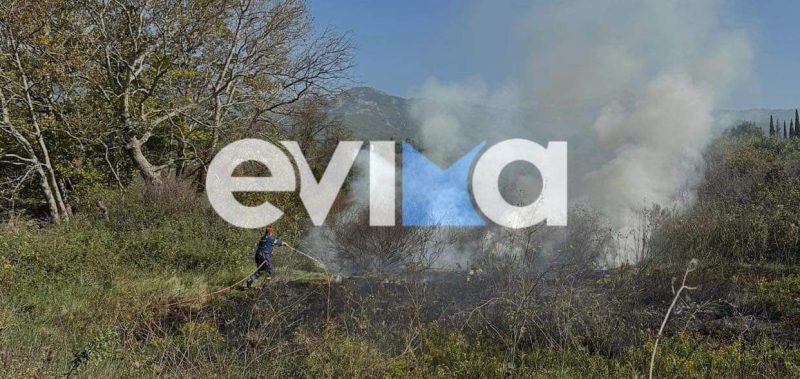 SOS για φωτιές στην Εύβοια: Τα προβλήματα που «καίνε» το νησί
