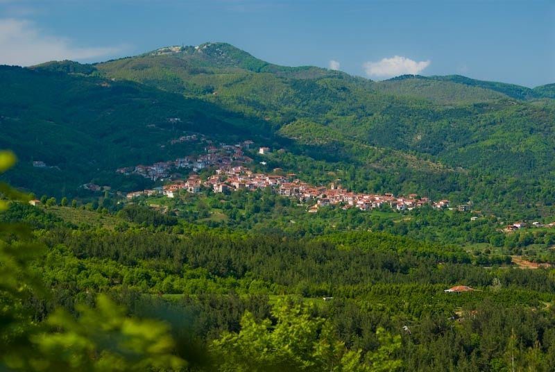 Μαζική τροφική δηλητηρίαση μετά από πανηγύρι σε χωριό – Νοσηλεύονται 37 άτομα