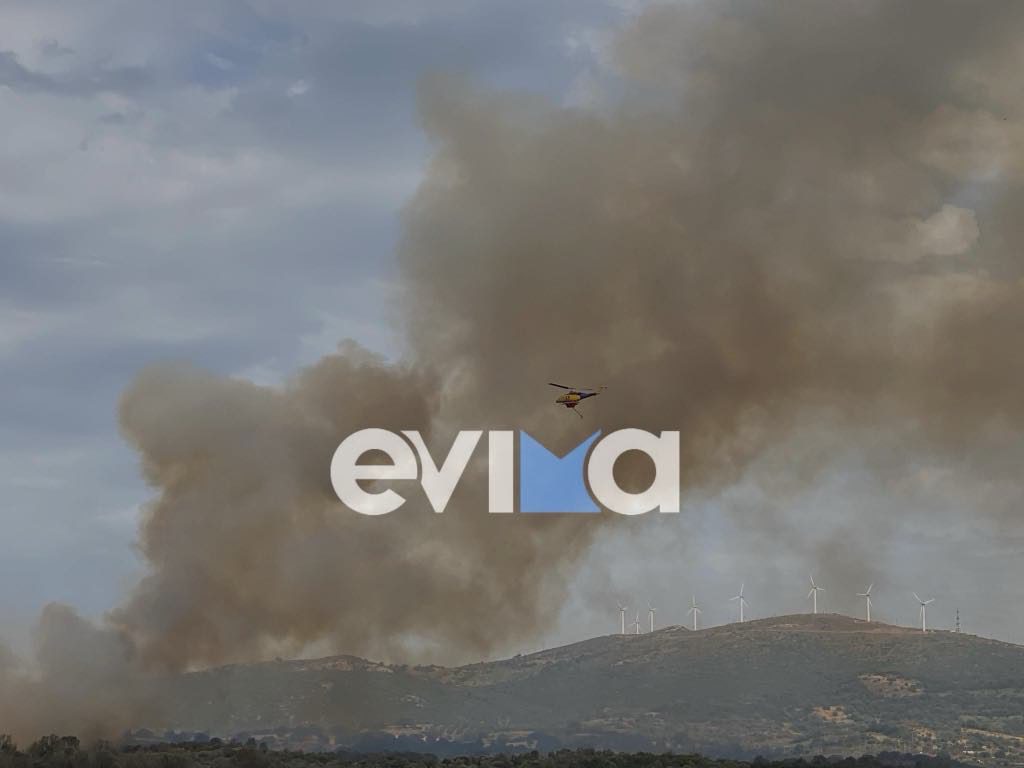 Φωτιά στην Εύβοια: Στη μάχη και εναέρια μέσα – Εικόνες και βίντεο