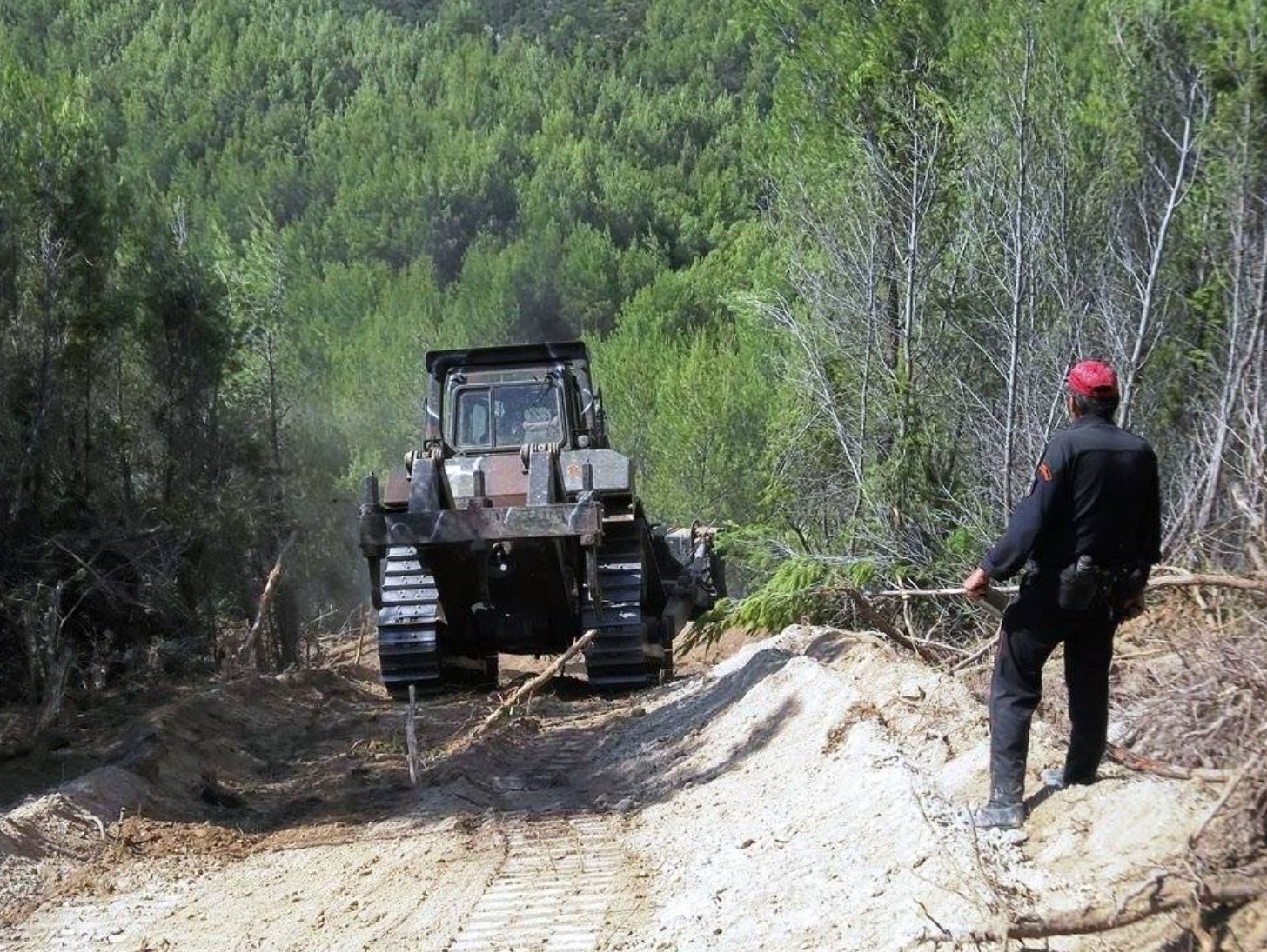 Εύβοια: «Θέμα» με τις περιοχές που έμειναν εκτός αντιπυρικών ζωνών