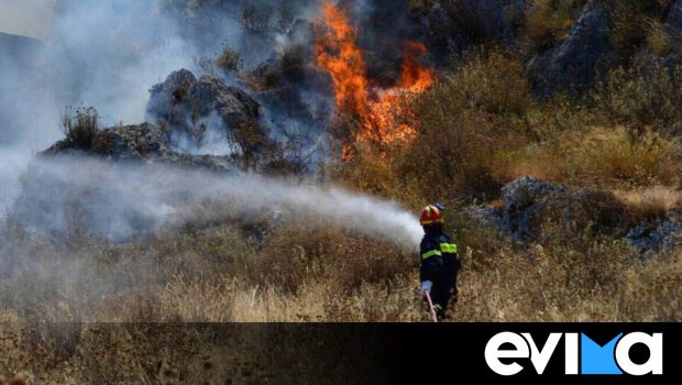 Πού καλείτε αν δείτε φωτιά σήμερα 23/08 στην Εύβοια