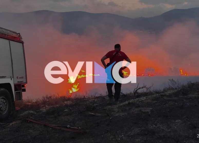 Χαλκίδα: Σε εγρήγορση λόγω υψηλού κινδύνου πυρκαγιάς