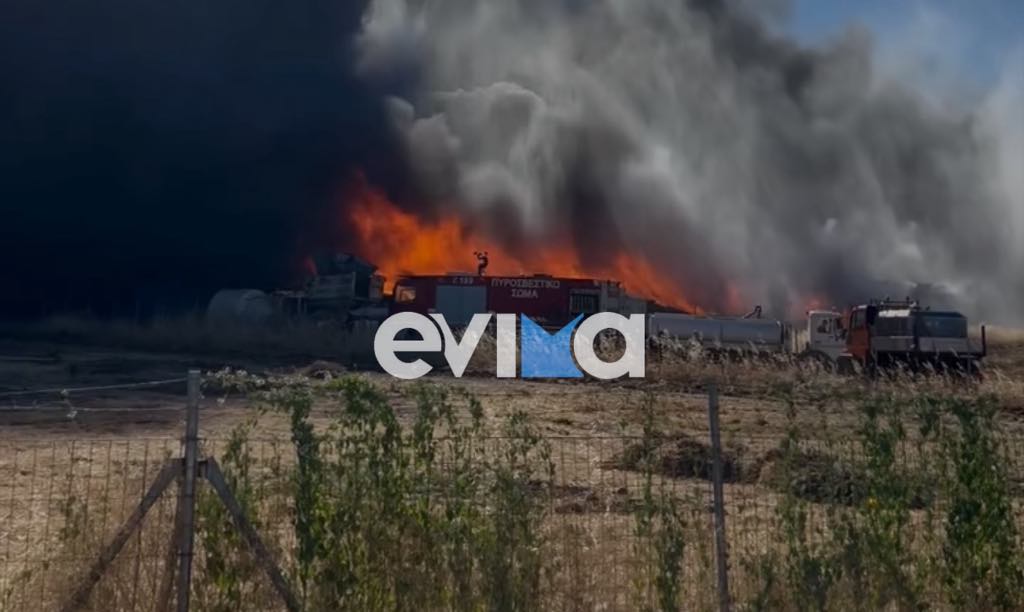 Φωτιά σε εργοστάσιο της Εύβοιας: Συνεχίζονται οι εκρήξεις στο σημείο (pics&vid)