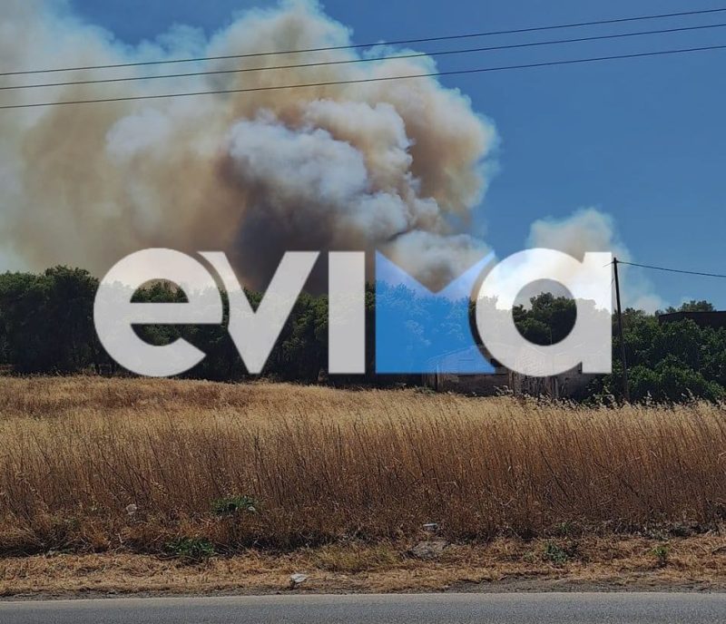 Μεγάλη φωτιά στη Νέα Αρτάκη της Εύβοιας: Οι φλόγες «αγγίζουν» τα σπίτια (pics&vid)