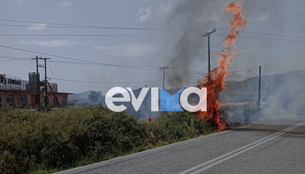 Φωτιά τώρα στην Εύβοια κοντά σε σπίτια