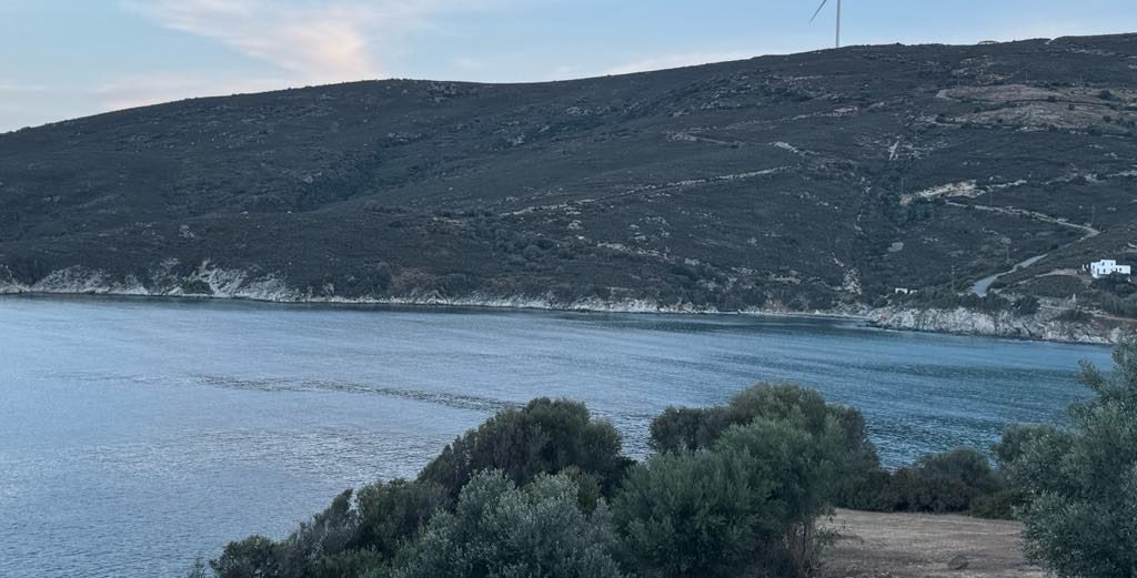 Καιρός: Πάνω από 35 βαθμούς η θερμοκρασία σήμερα σε Εύβοια και Σκύρο