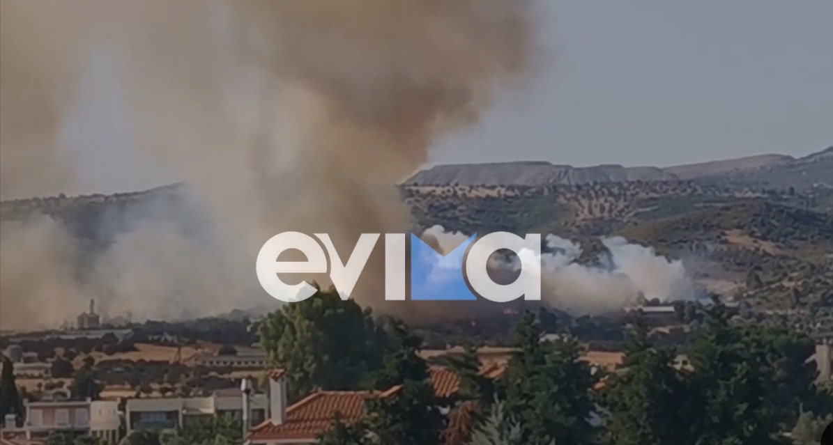Εύβοια: Μεγάλη φωτιά σε δασική έκταση στο Κοντοδεσπότι – Οι πρώτες εικόνες