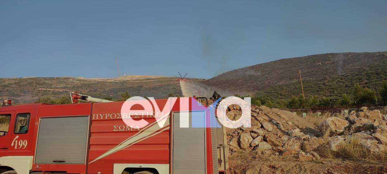 Εύβοια: Πρόλαβαν τα χειρότερα οι πυροσβέστες στο Αλιβέρι
