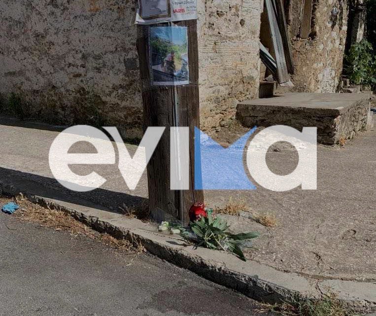 Θανατηφόρο τροχαίο στην Εύβοια: Έκλαιγε συνέχεια ο 17χρονος – Τι είπε στους αστυνομικούς