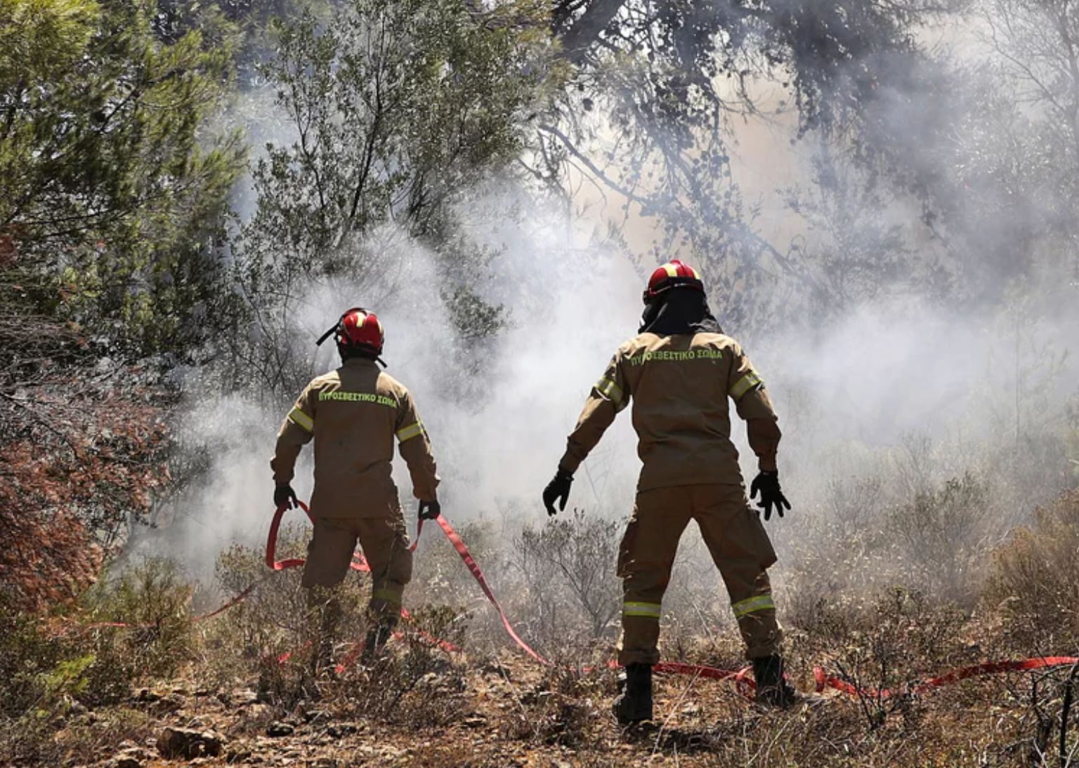 Φωτιά στο Μαρκόπουλο και διακοπή κυκλοφορίας των οχημάτων