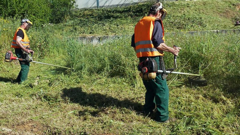 Επιπλέον χρηματοδότηση 1,3 εκατ. ευρώ στους δήμους για το μάζεμα των ξερών χόρτων