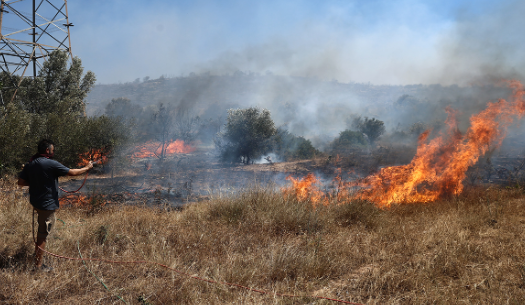 Συνελήφθη ο ιδιοκτήτης γνωστής ταβέρνας για τη φωτιά