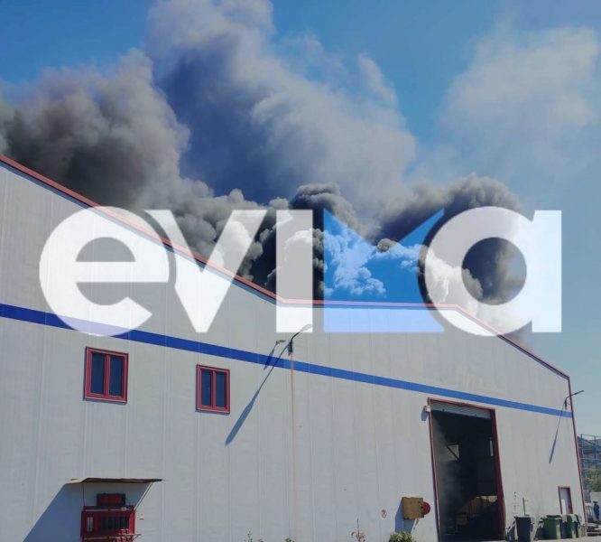 Εύβοια: Πώς έπιασε φωτιά το εργοστάσιο – Τι πρέπει να προσέξουν οι πολίτες