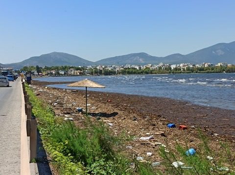 Χαλκίδα: Προβλήματα στη Λιανή Άμμο – Τι ζητούν οι κάτοικοι