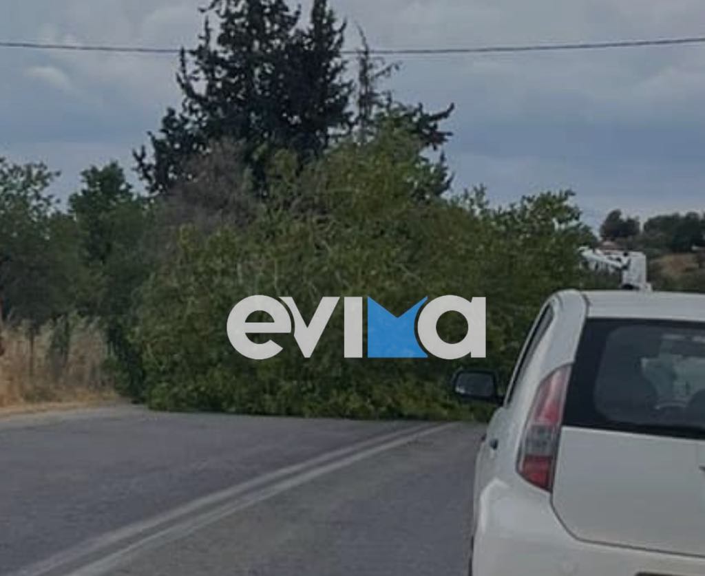 Στο έλεος της κακοκαιρίας η Εύβοια – Έπεσε δέντρο σε κεντρικό δρόμο