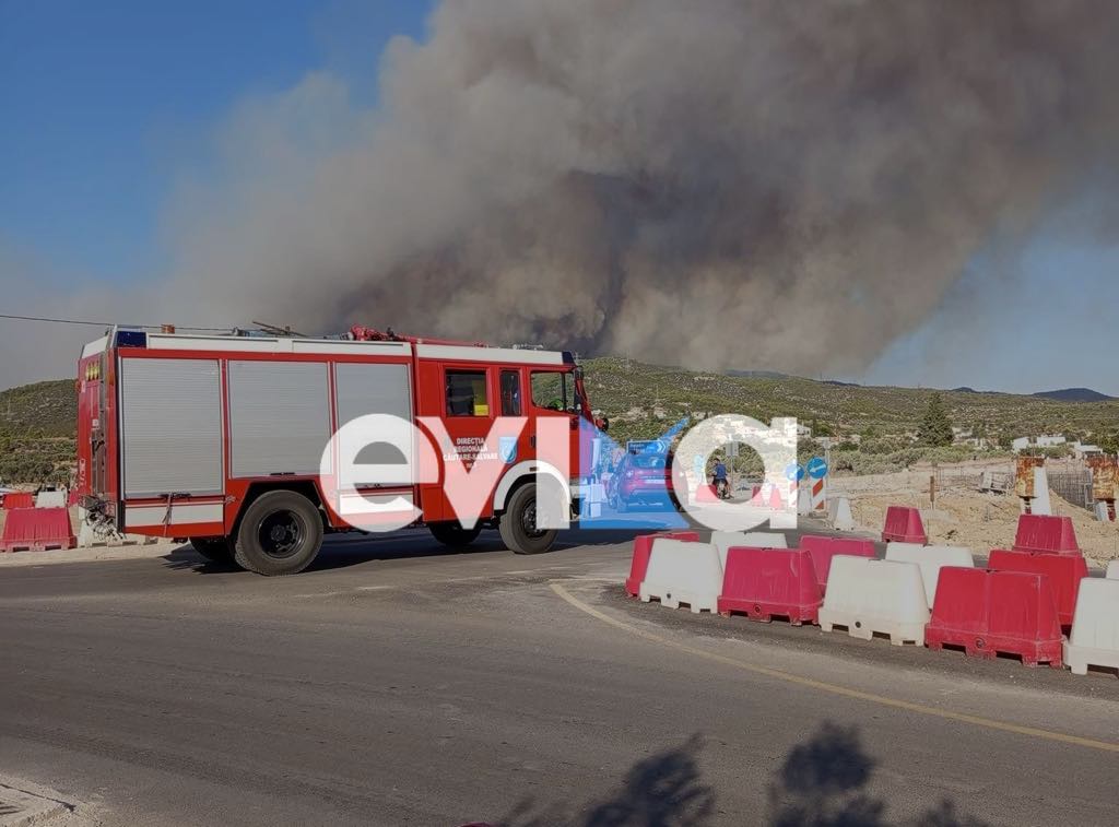 Μεγάλη φωτιά στην Εύβοια: Στη μάχη ξανά οι Ρουμάνοι πυροσβέστες (vid)