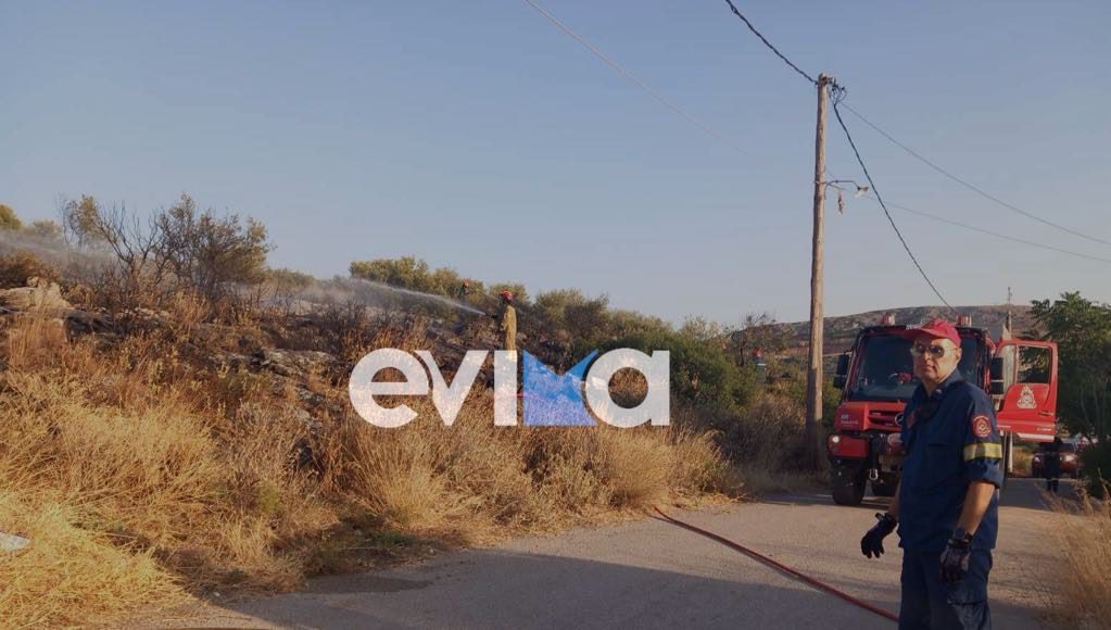Φωτιά τώρα σε οικισμό της Εύβοιας – Οι πρώτες εικόνες