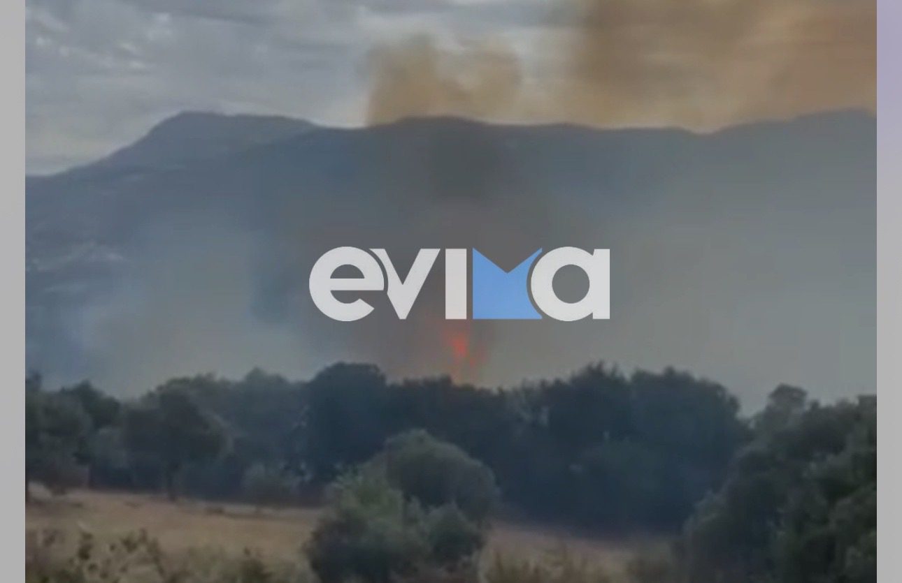 Κακοκαιρία στην Εύβοια: Και δεύτερη φωτιά από κεραυνό (pics&vid)